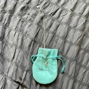 Tiffany @ CO. Sterling Atlas Roman Numeral necklace